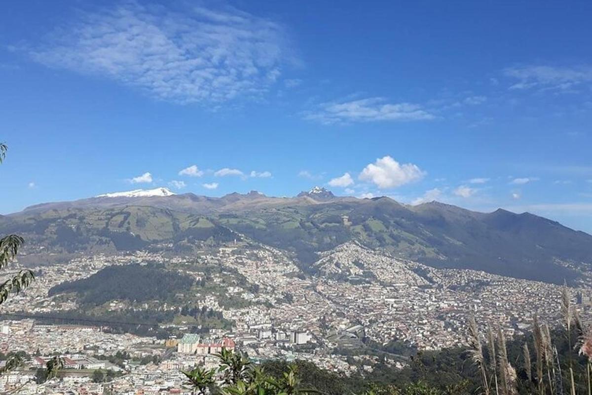a view of a city with mountains in the background