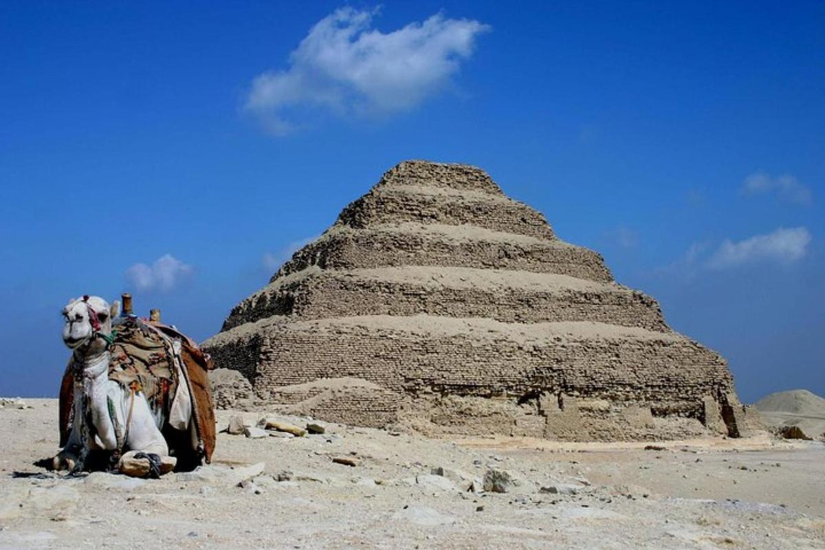 a camel sitting in front of a pyramid