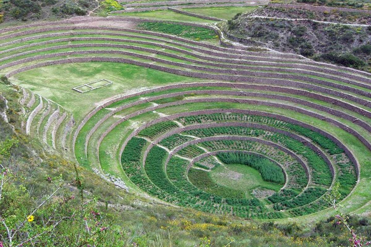 un anfiteatro in un'isola con erba e piante infestanti