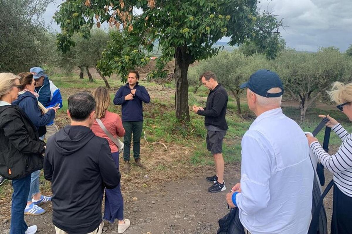 a group of people standing near a tree talking