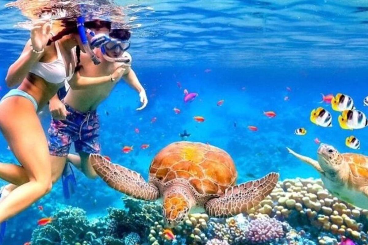 due persone che scattano una foto a una tartaruga nell'oceano
