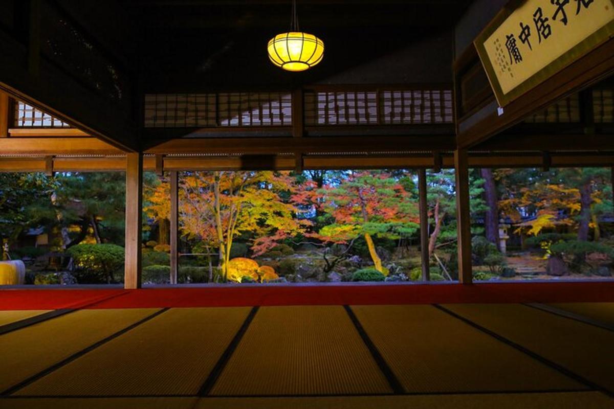 a room with a view of a garden through a window
