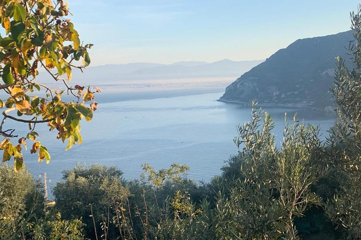 μια θέα σε ένα μεγάλο υδάτινο σώμα