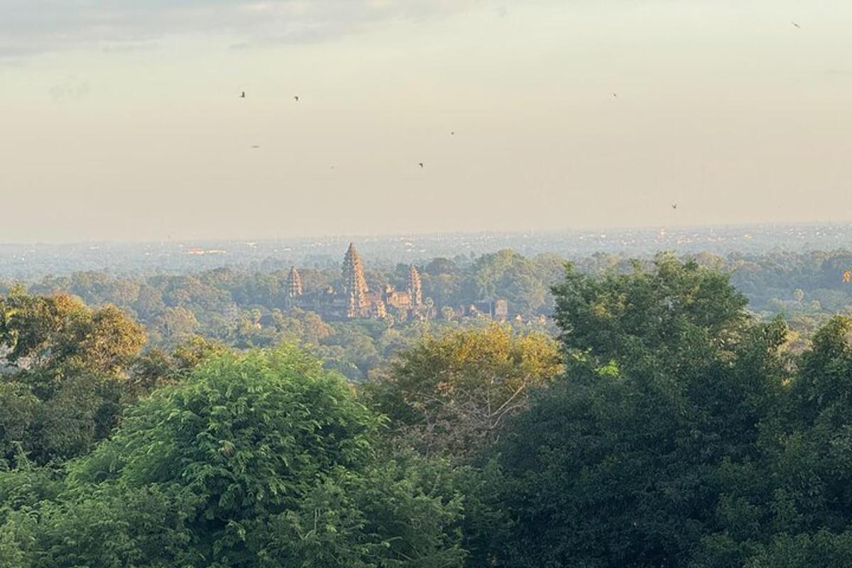 a view of a city from the top of trees