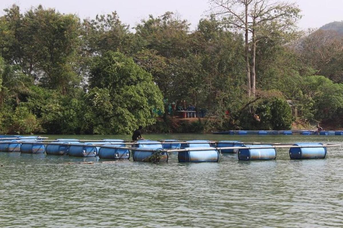 un gruppo di barche sedute in acqua
