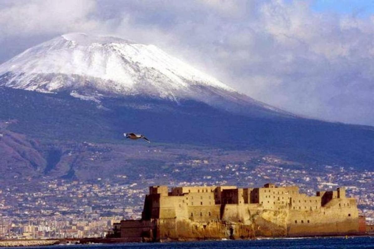 una montagna innevata sullo sfondo con un castello e un uccello