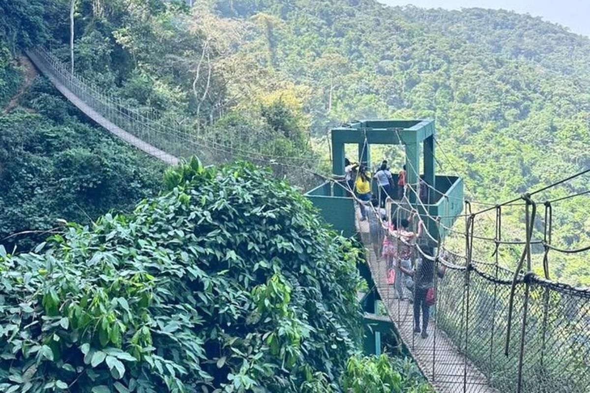 un gruppo di persone che viaggiano su un treno su una montagna
