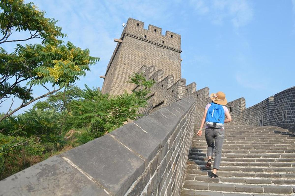 a person walking up the stairs of a castle