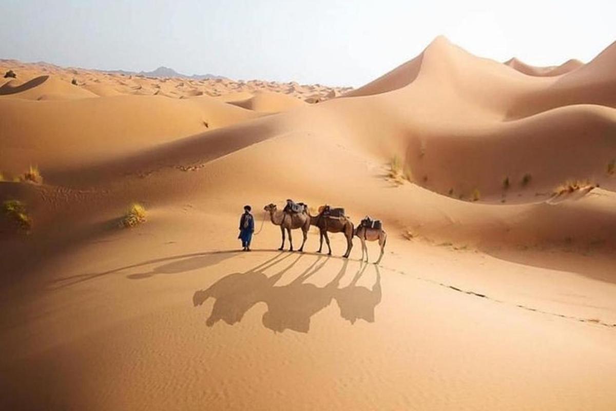un uomo che cammina con una carovana di cammelli nel deserto
