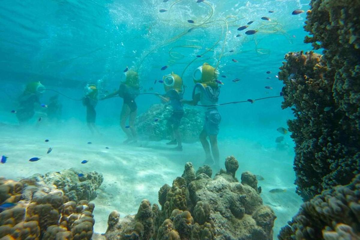 a group of people standing in a coral reef