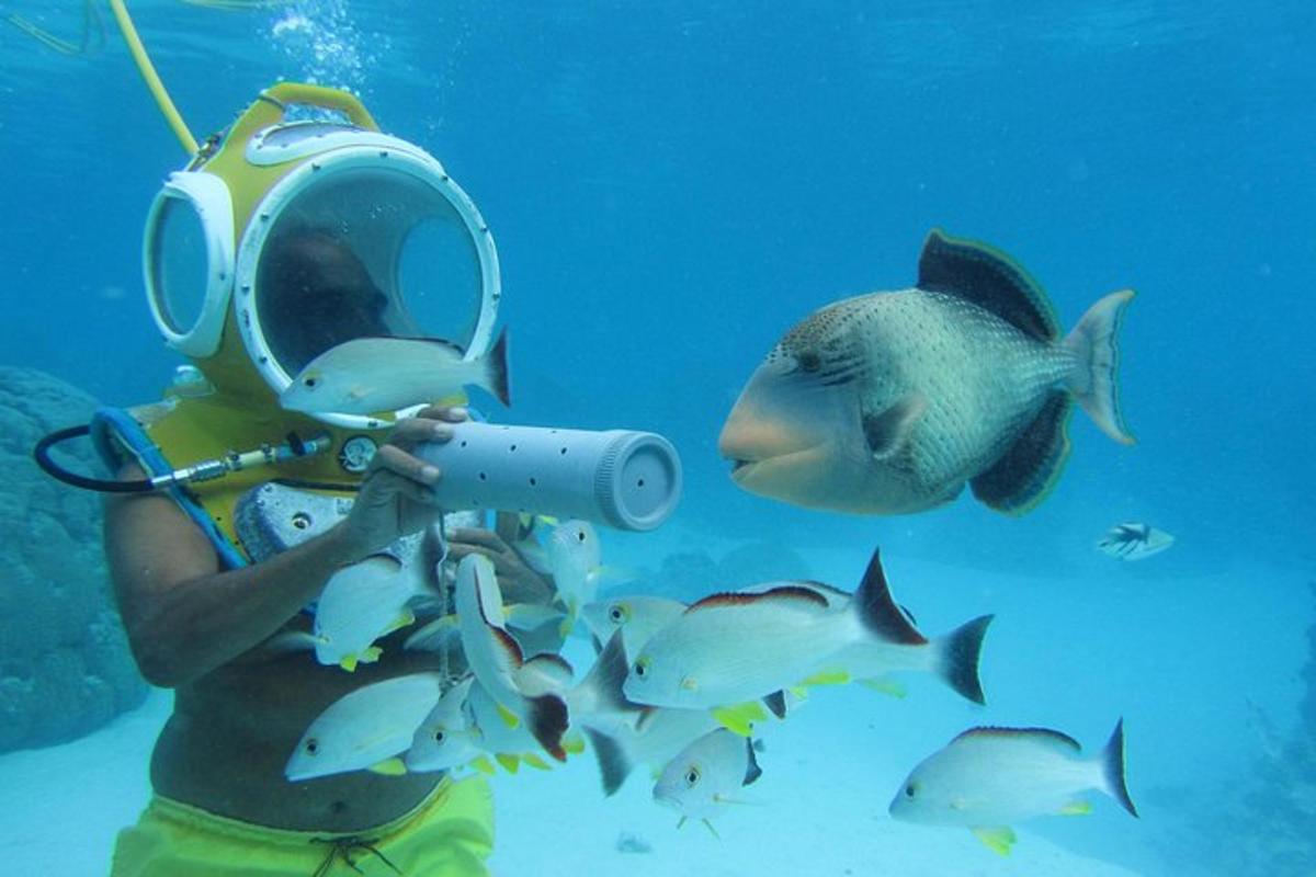 a diver taking a picture of a fish