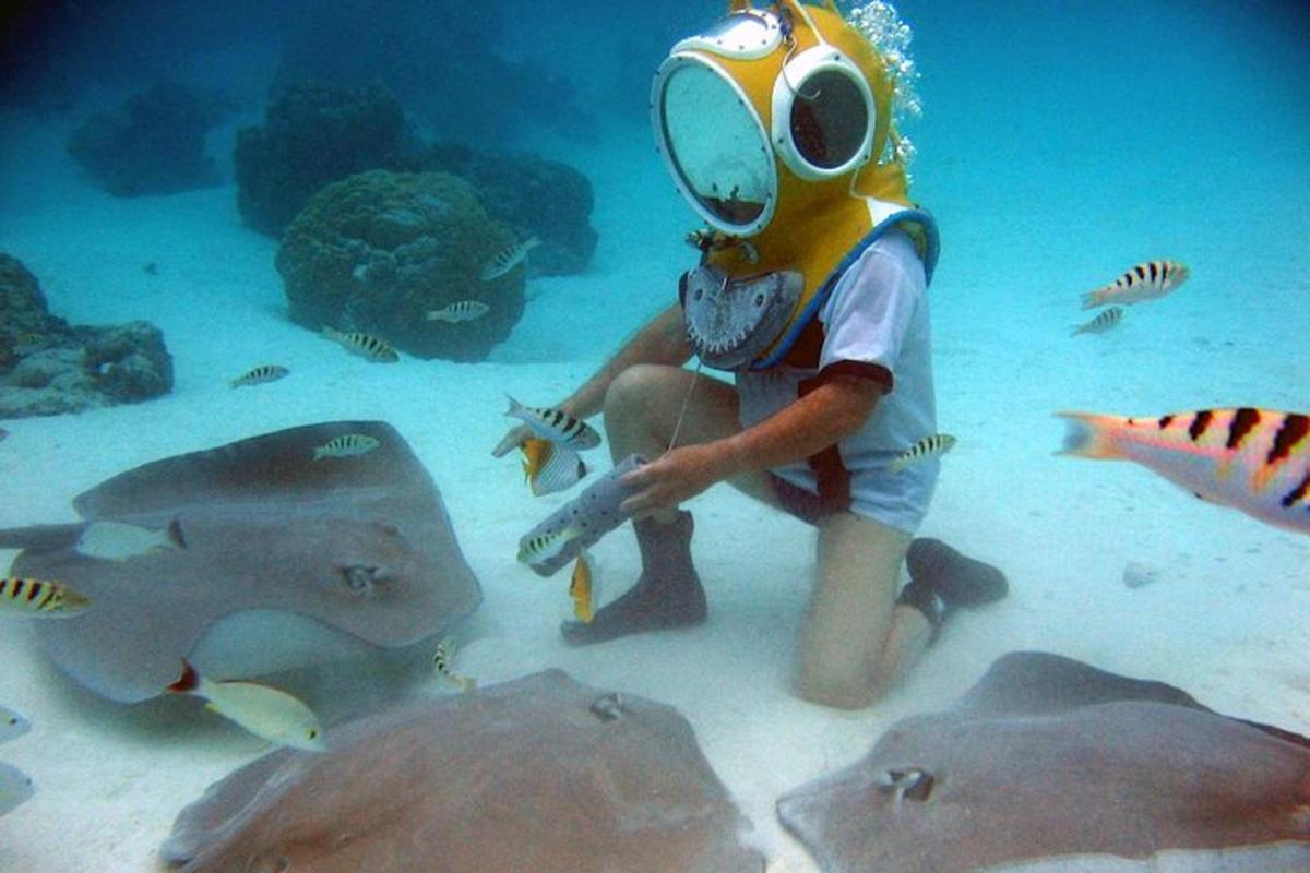 a girl in a diver outfit looking at fish in the water