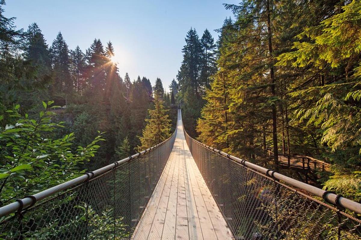 een hangbrug midden in een bos