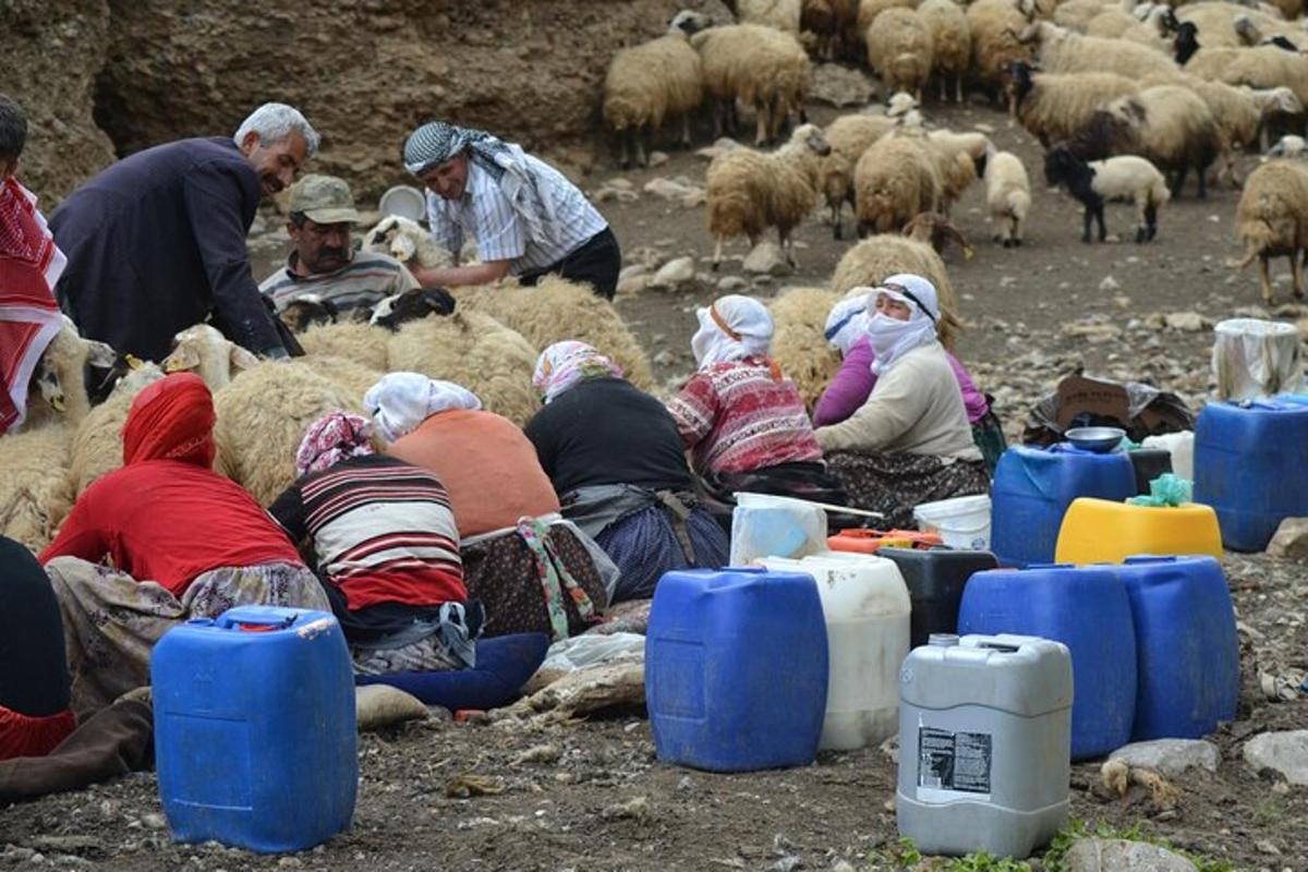 a group of people sitting on the ground with sheep