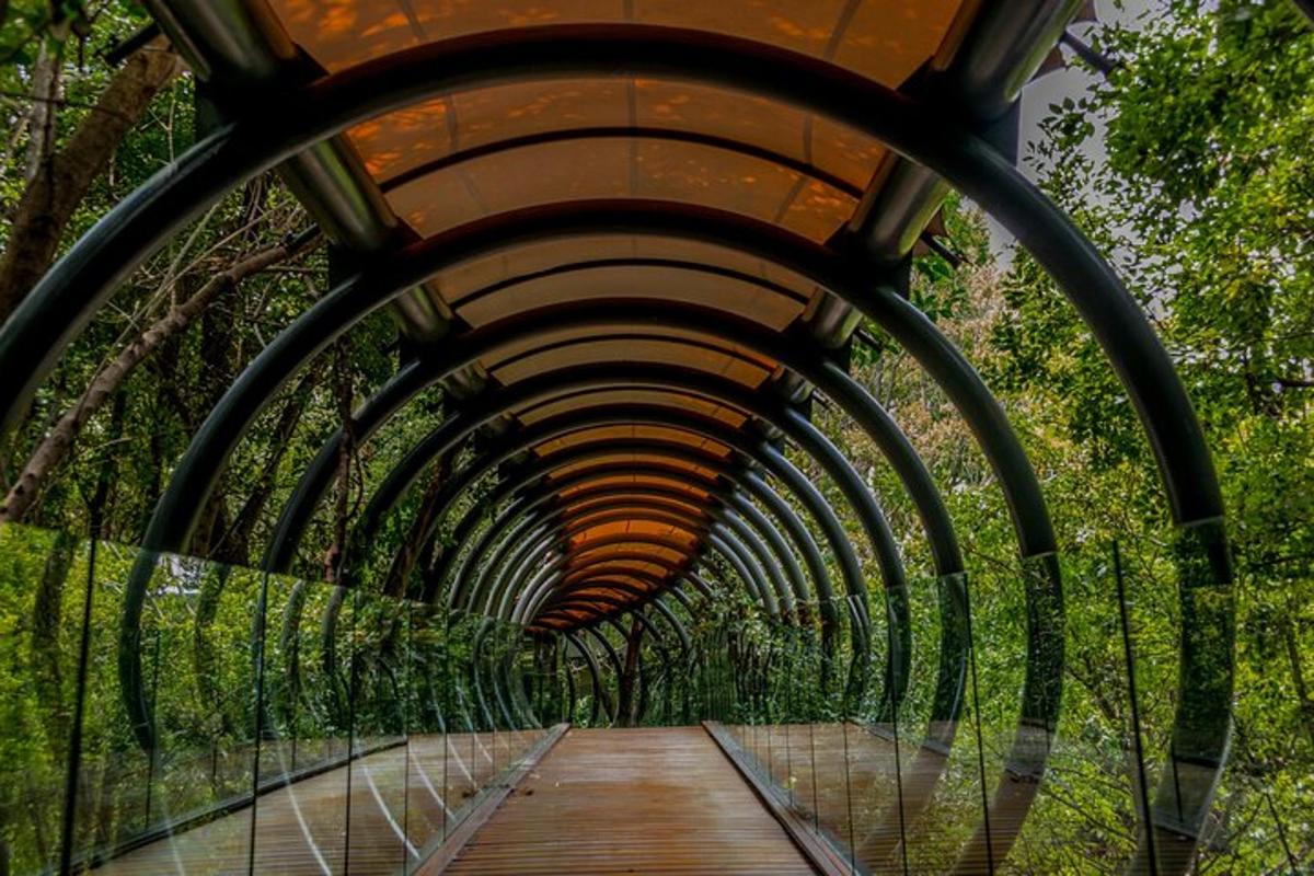 una pasarela a través de un túnel en un parque