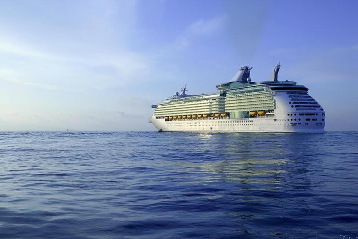 ein Kreuzfahrtschiff im Meer