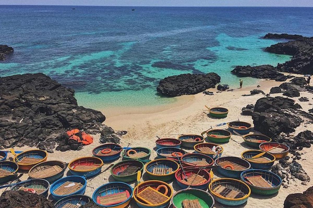 un grupo de barcos en una playa cerca del agua