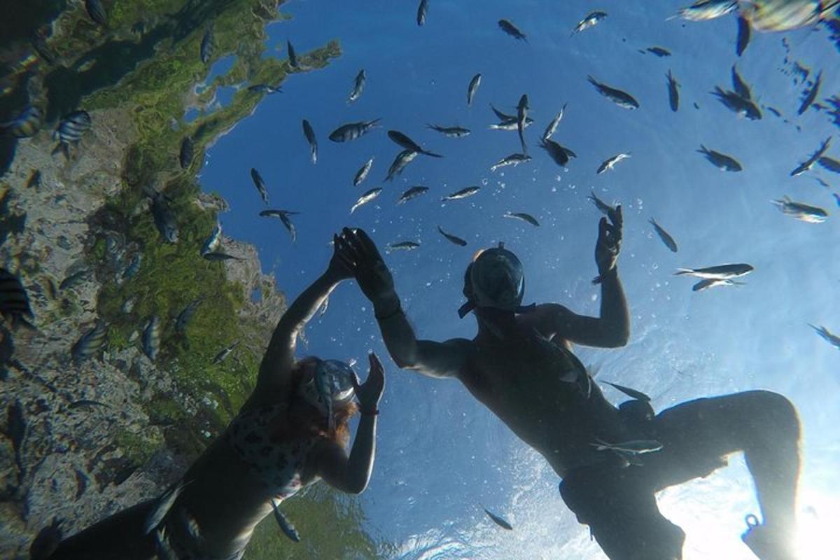 dua orang sedang menyelam di dalam air bersama ikan