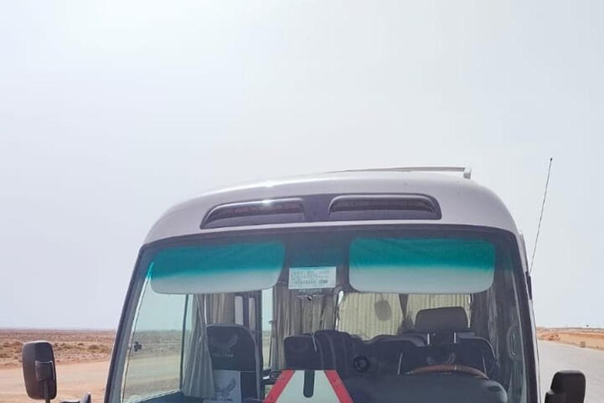 Ein weißer Bus steht auf einer Straße