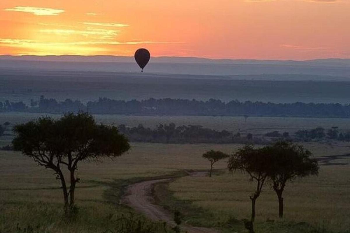 Un globo aerostático volando sobre un campo con árboles.
