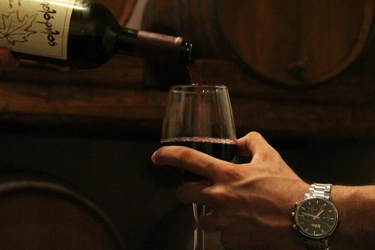 uma pessoa despejando vinho em uma taça de vinho