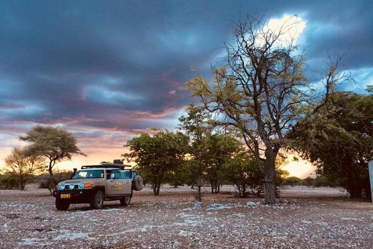a truck parked in a field with a tree