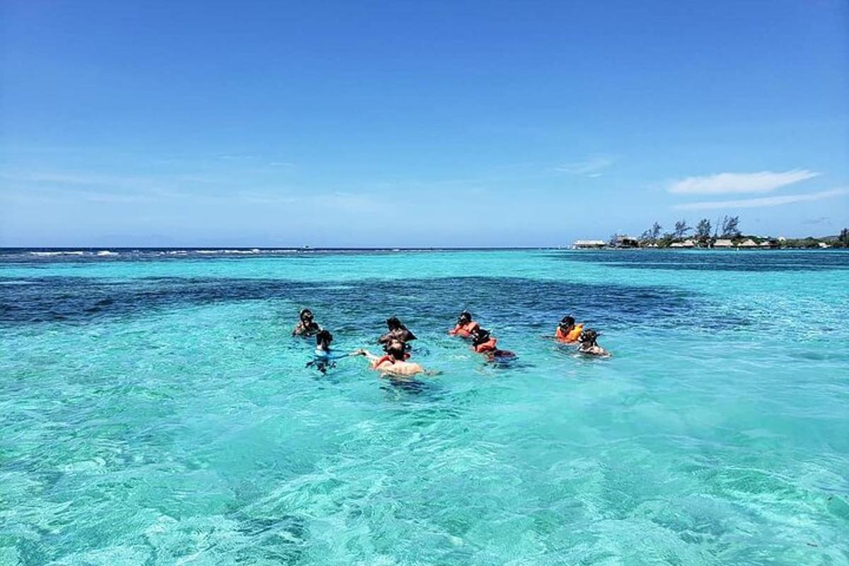 un grup de persones nedant a l'oceà