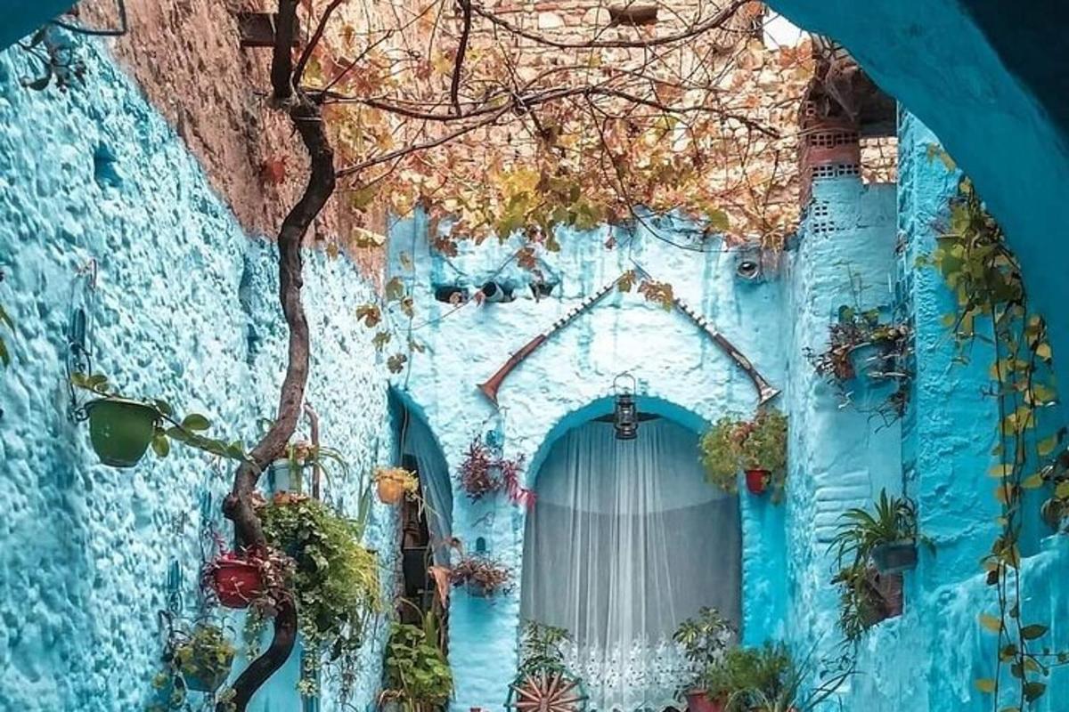 Un edificio azul con una puerta blanca y plantas.