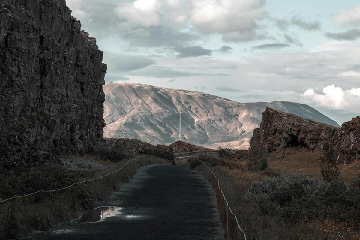 un camino en medio de un campo con una montaña