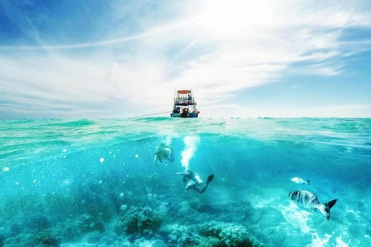Skupina delfínů plave v oceánu s lodí