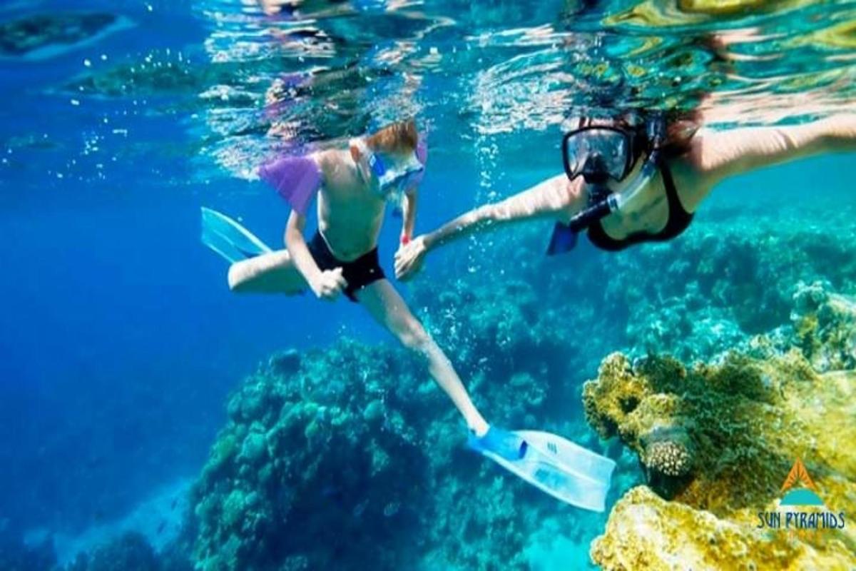 two people are diving in the water