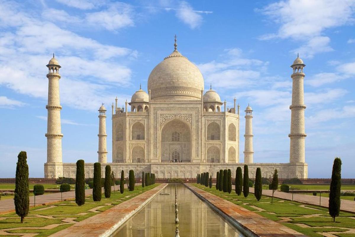 pemandangan taj mahal dengan pepohonan di depannya