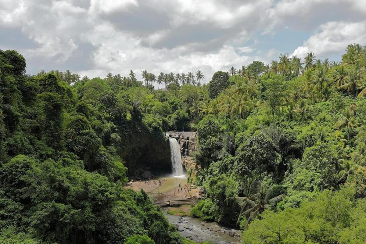 una cascata nel mezzo di una giungla con alberi
