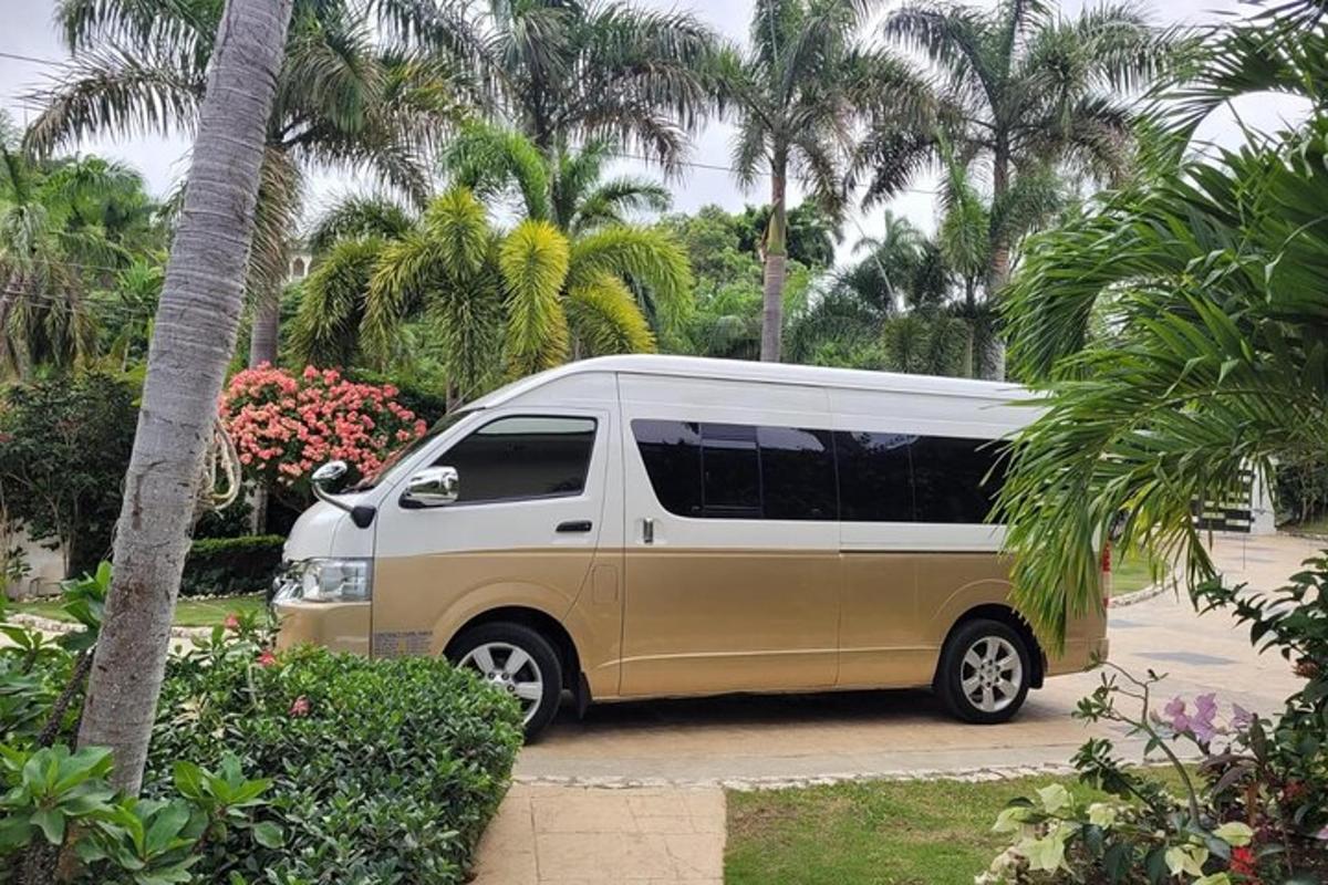 a van parked in a parking lot with palm trees