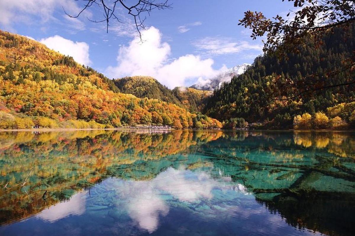 pohled na jezero uprostřed lesa