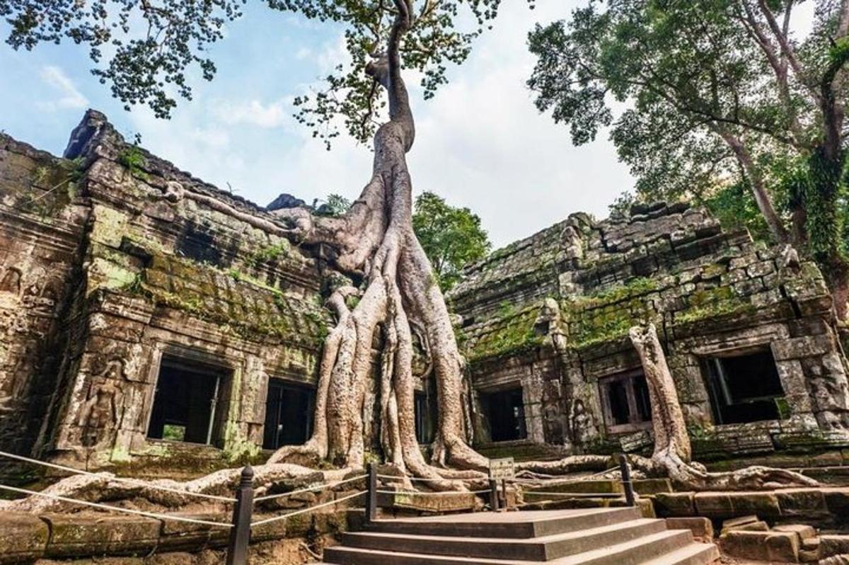 sebuah bangunan dengan pokok-pokok tumbuh daripadanya