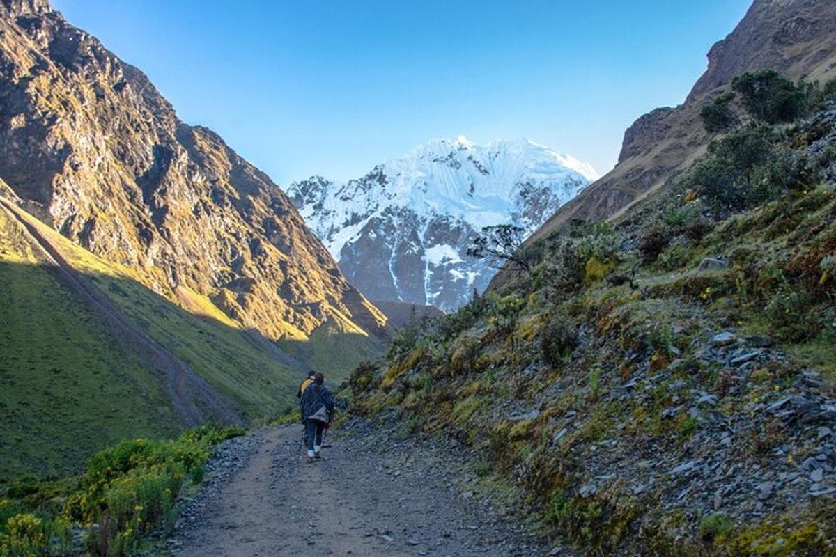 una persona che cammina lungo una strada sterrata attraverso una montagna
