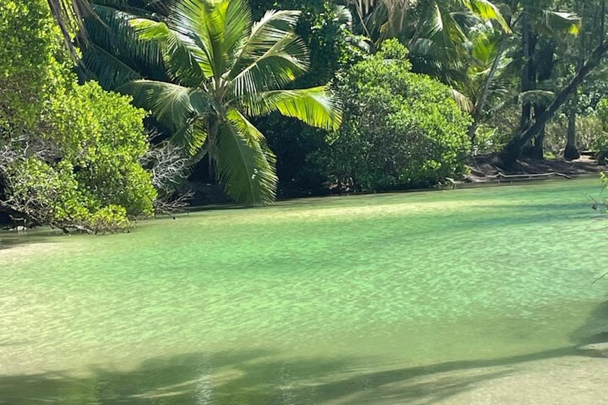 zelený bazén s vodou a palmou