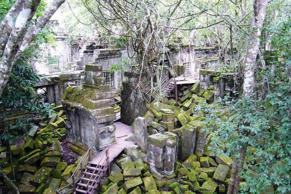 un antic edifici de pedra amb una escala al bosc