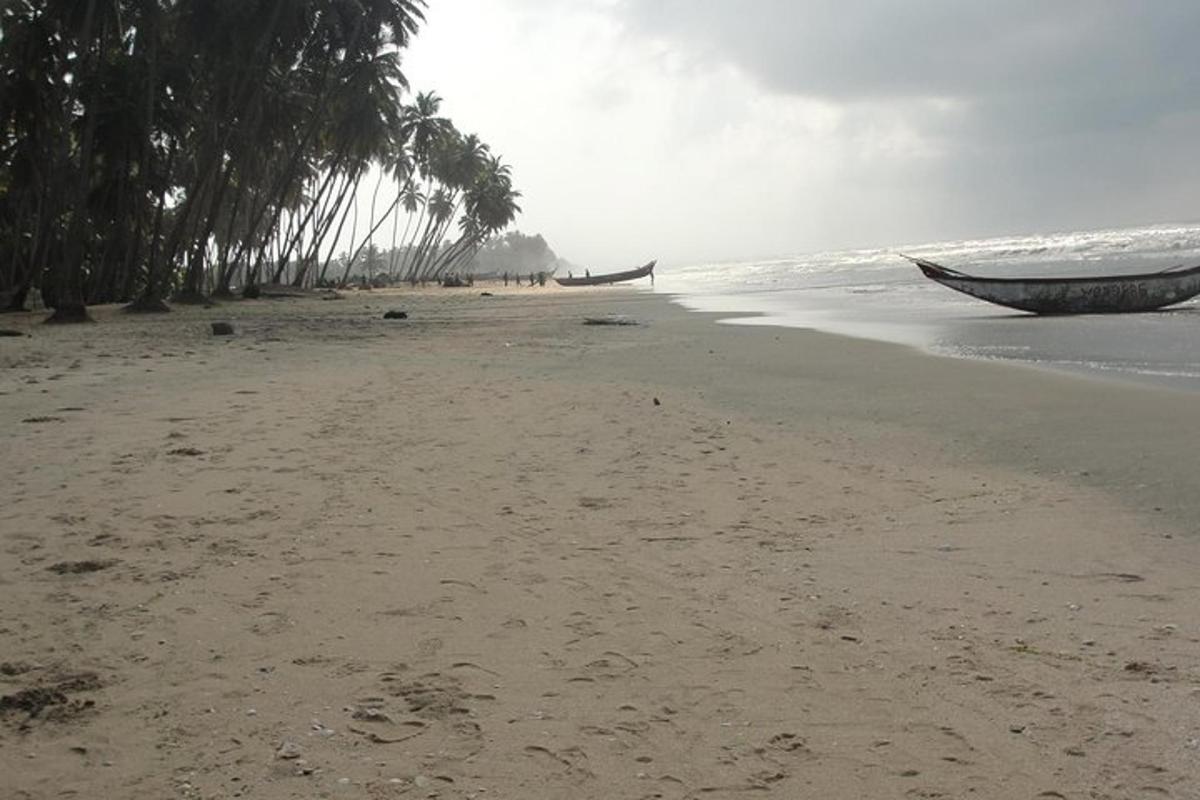 a beach with a boat on the sand and trees