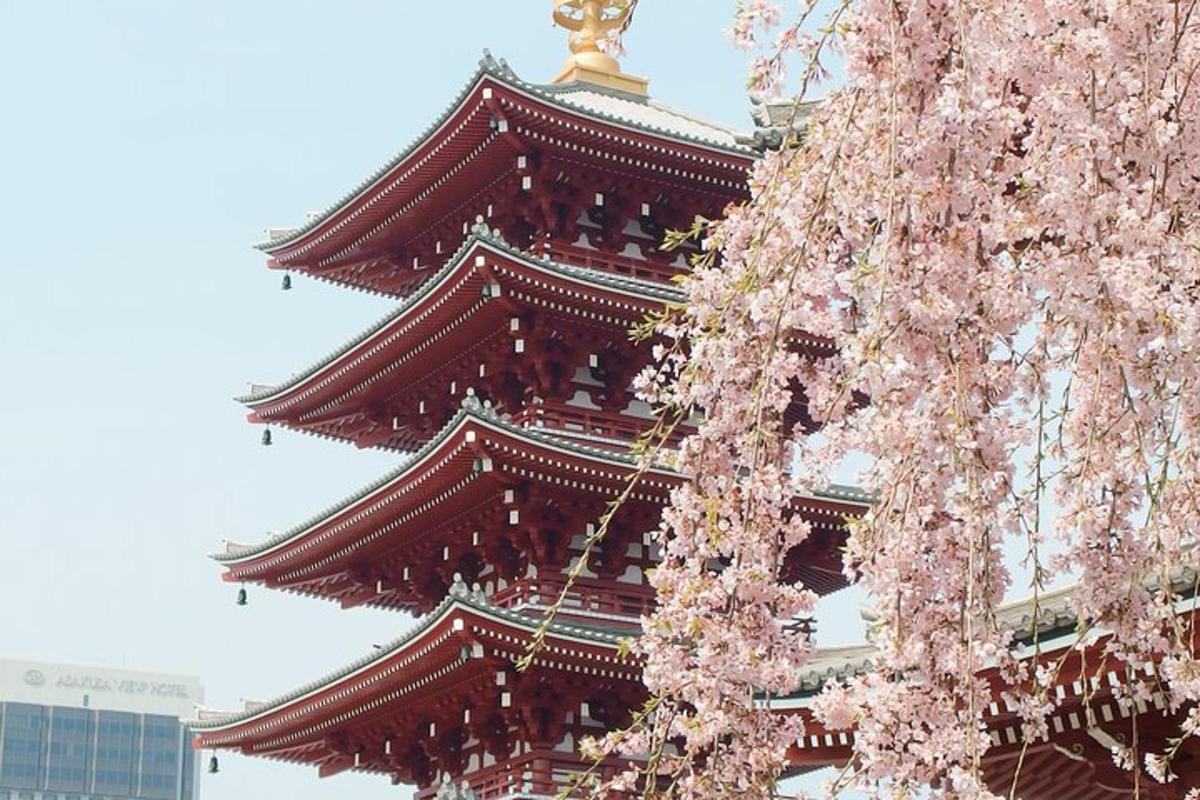 pagoda z wiśnią przed nią