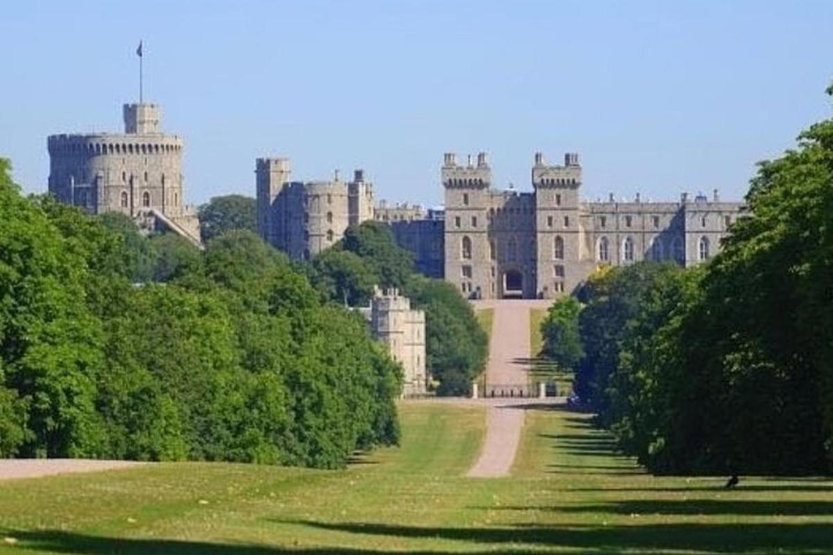 una vista di un castello da un parco con alberi