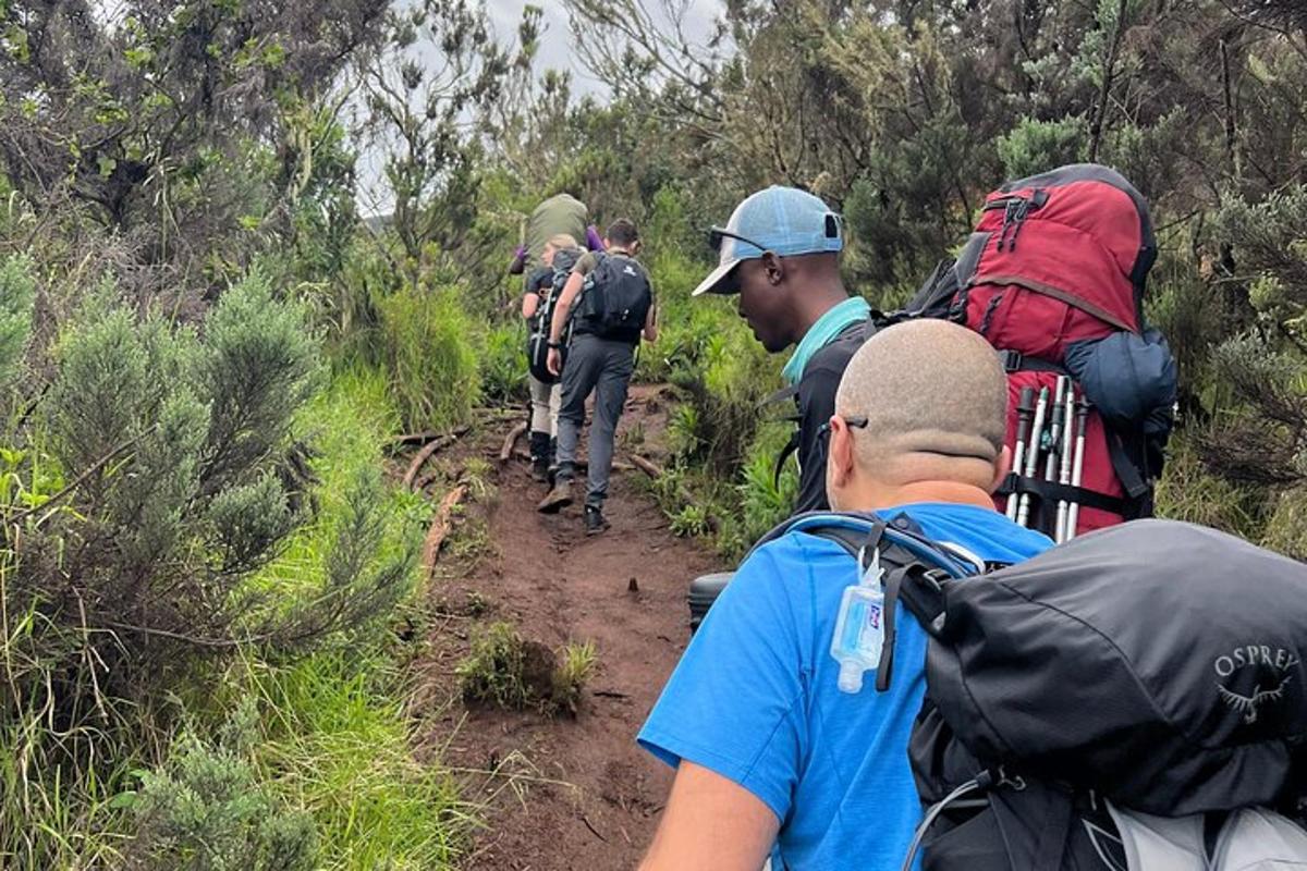 un gruppo di persone che camminano lungo un sentiero sterrato