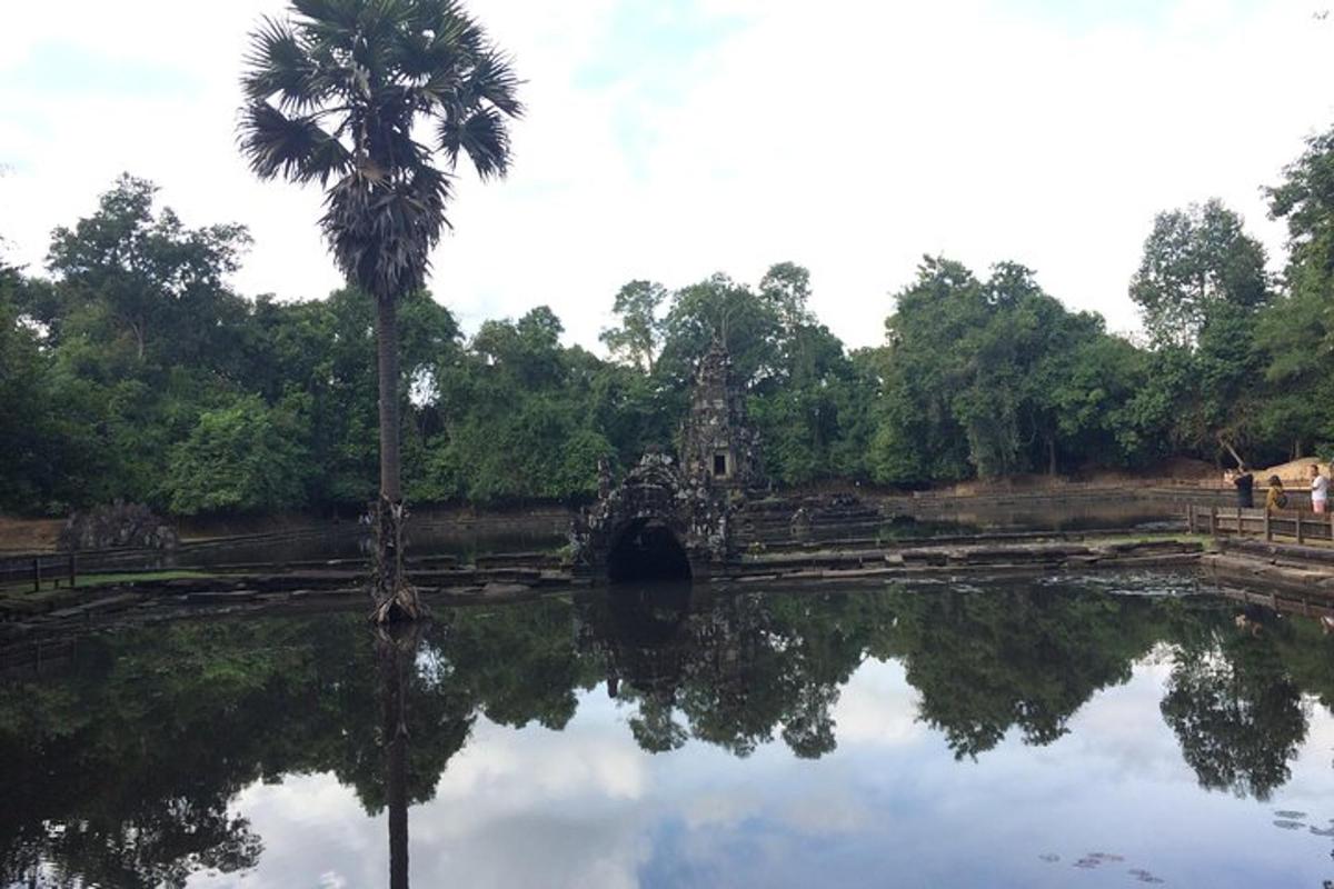 una palmera davant d'un edifici amb un reflex a l'aigua