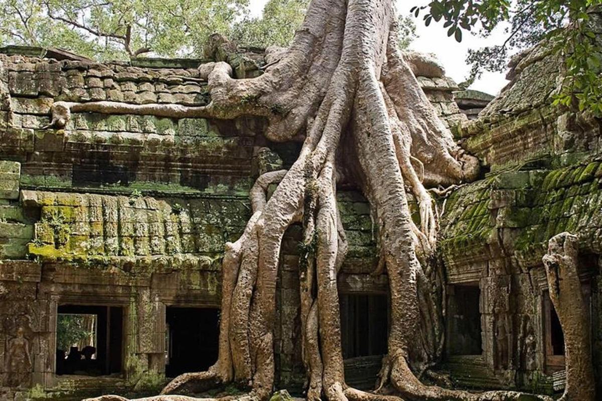 a building with trees growing on the side of it