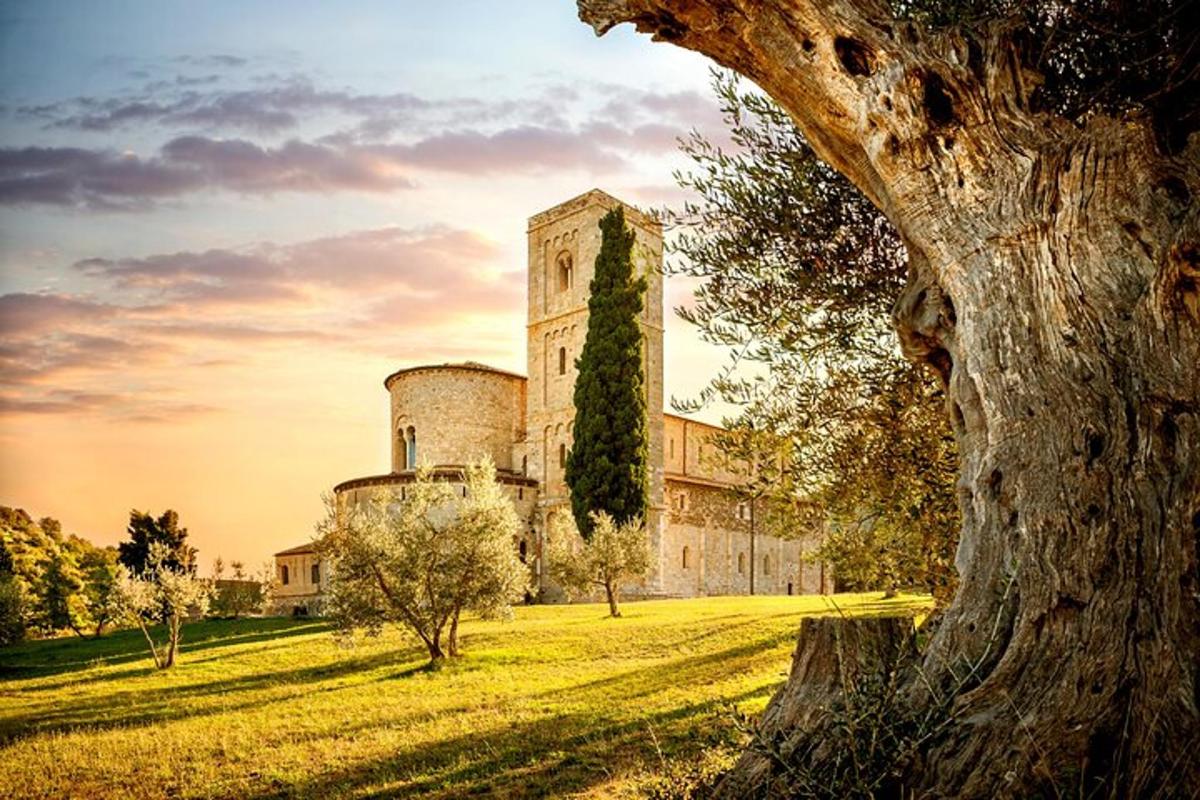 un castel vechi într-un câmp cu un copac