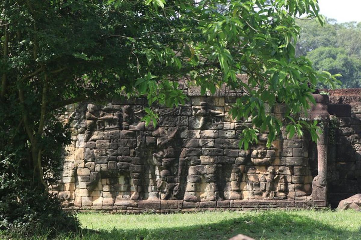 dinding batu dengan pokok di hadapannya