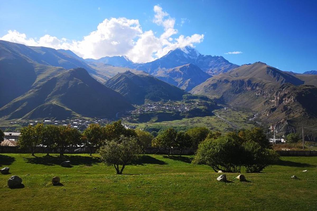 a group of sheep grazing in a field with mountains
