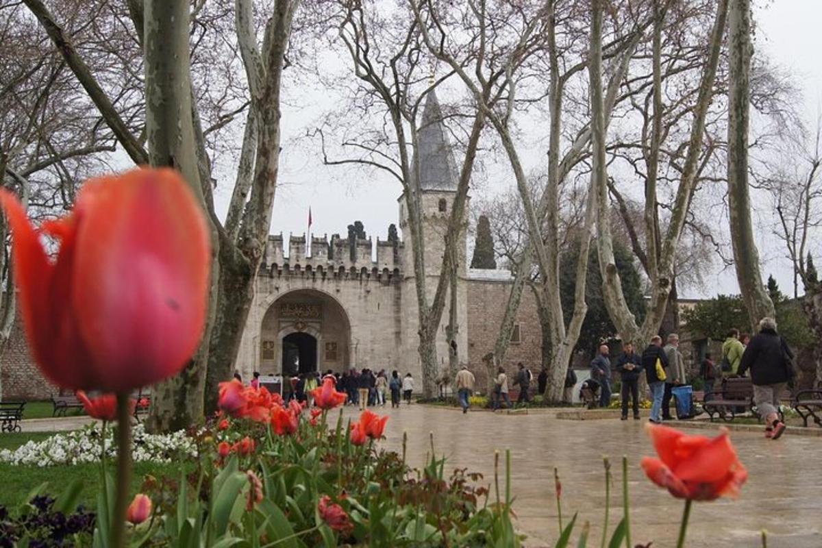 Un grupo de personas caminando en un parque con flores rojas.