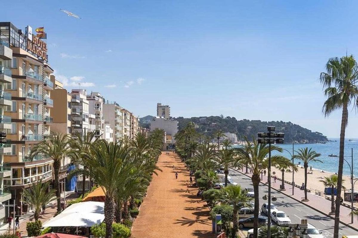 a street with palm trees and a beach with buildings